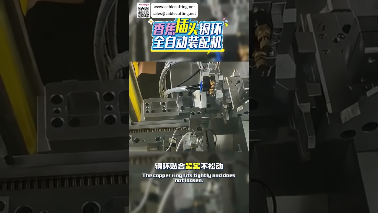 Máy lắp ráp vòng đồng phích cắm chuối tự động tốc độ cao – Thiết bị sản xuất dây cắm công nghiệp hiệu quả