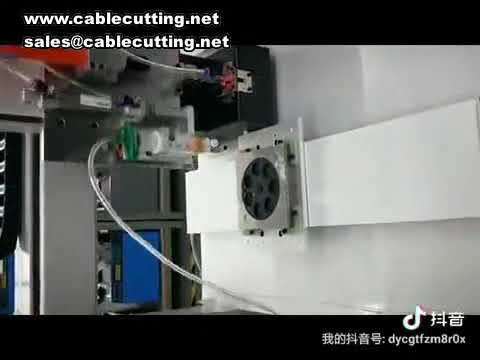 Tay vít khóa kép tự động - Máy cấp vít để bàn tốc độ cao | 1 giây một vít