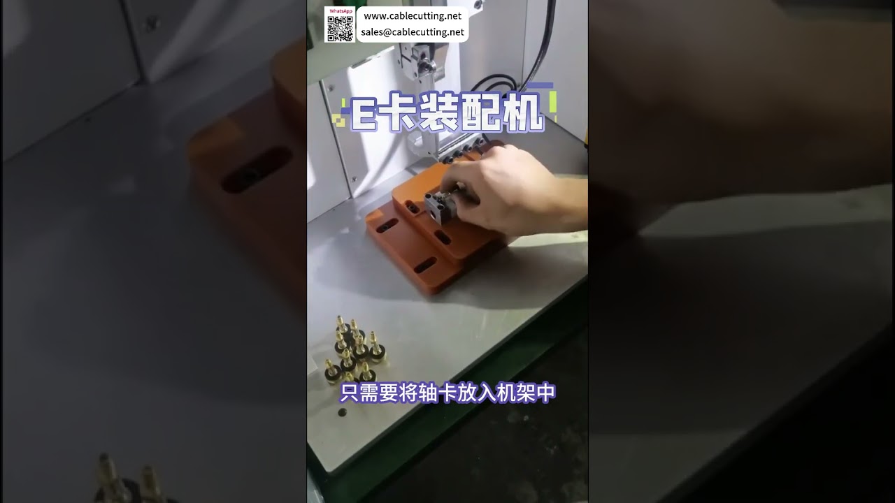 Máy lắp ráp vòng E chất lượng cao, thiết bị sản xuất tự động tùy chỉnh đáng tin cậy từ nhà máy uy tín