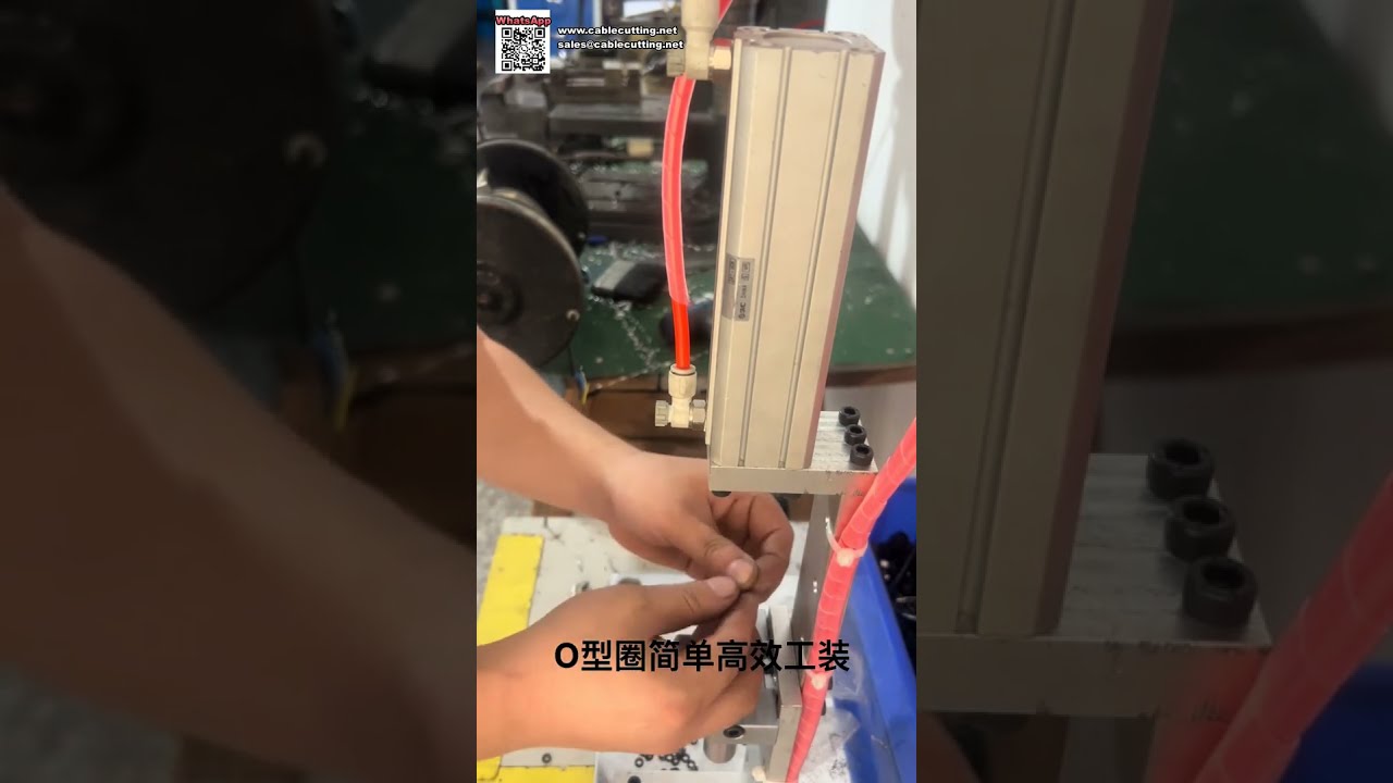 Máy lắp ráp vòng đệm O-Ring tự động và thiết bị khuôn ép vòng đệm chính xác