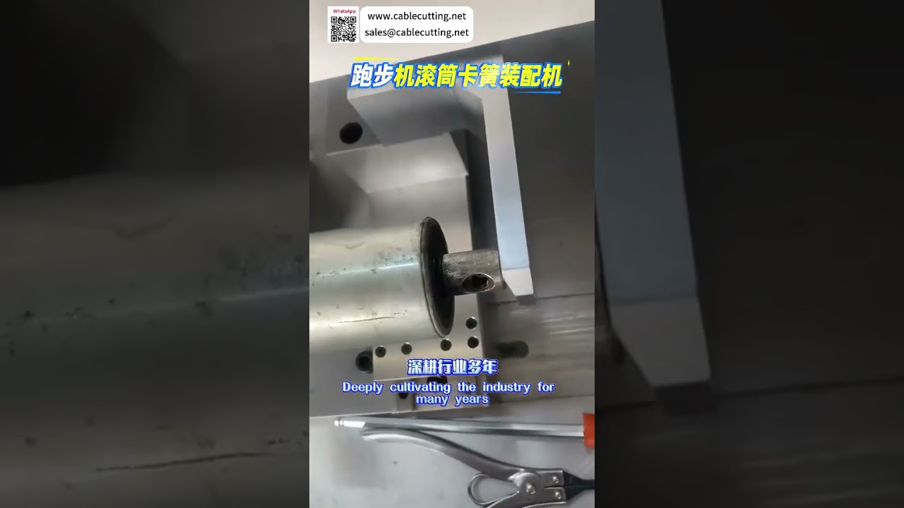 Máy lắp ráp vòng đệm con lăn máy chạy bộ tùy chỉnh - Thiết bị tự động hiệu suất cao từ nhà máy uy tín