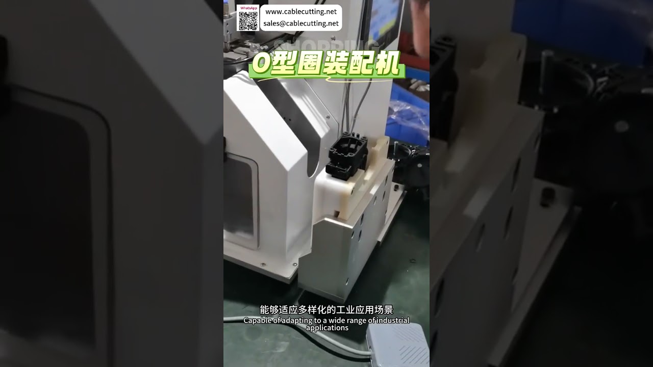 Thiết bị lắp ráp tự động cải tiến - Hệ thống sản xuất công nghiệp hiệu suất cao