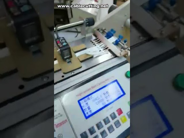 Máy cắt nhãn tự động tốc độ cao – Cắt nhãn nóng & lạnh chính xác
