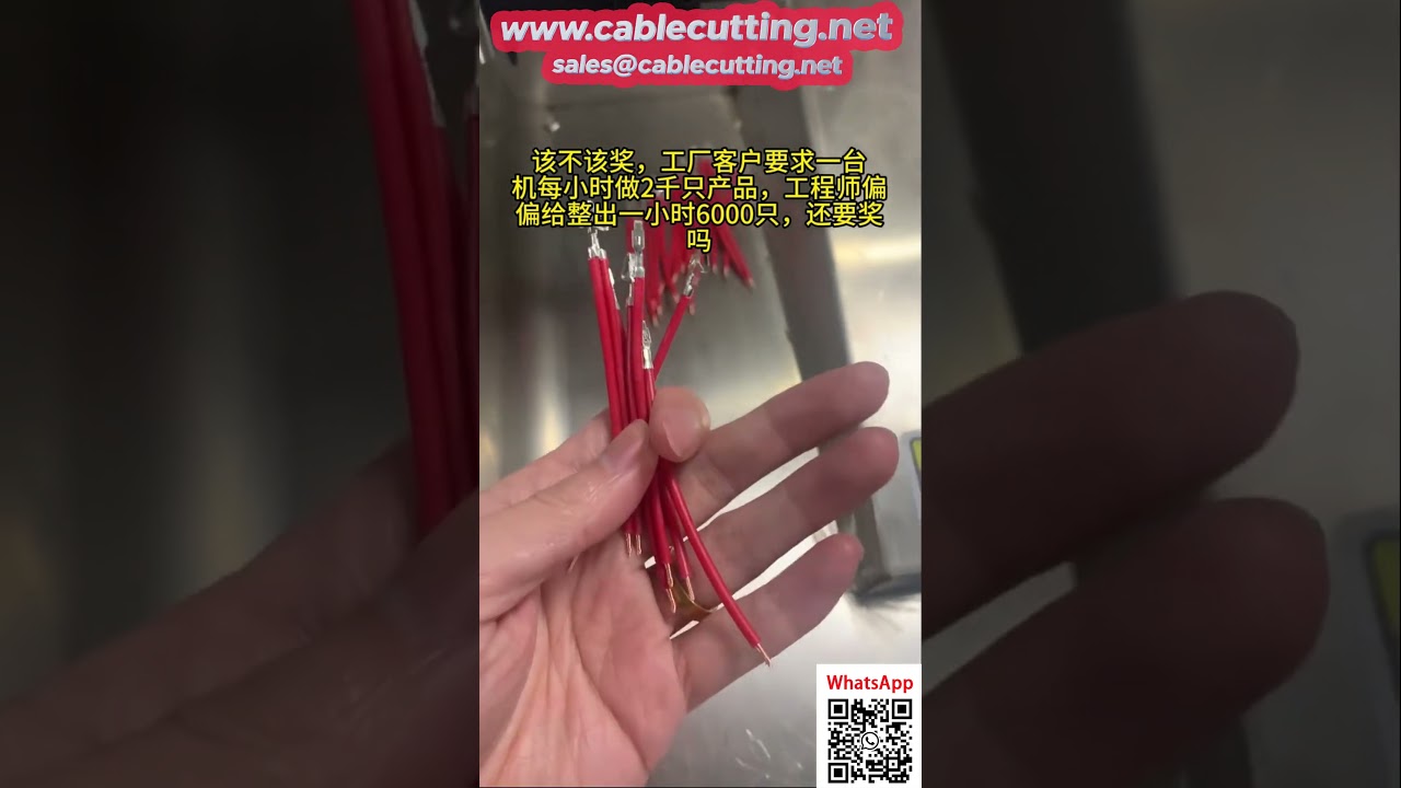 Máy đa chức năng 5 dây mạ thiếc và bấm đầu cáp – tùy chọn đầu kép tăng năng suất