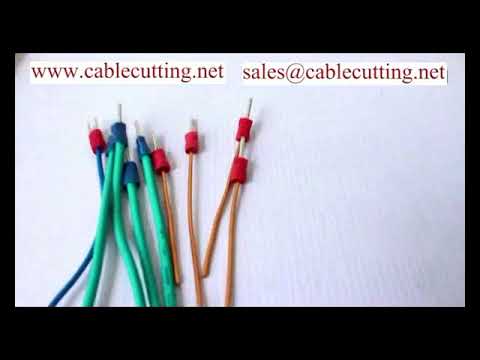 Máy ép đầu cốt WPM-2000S - Hiệu suất cao, độ chính xác tuyệt đối